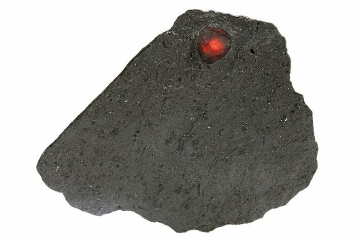 Red Embers Garnet in Graphite - Massachusetts #313414